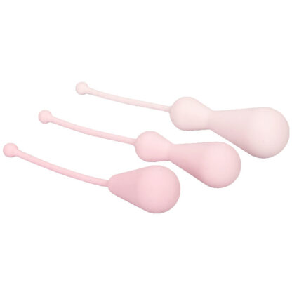 Inspire Weighted Silicone Kegel Training Kit - Image 2
